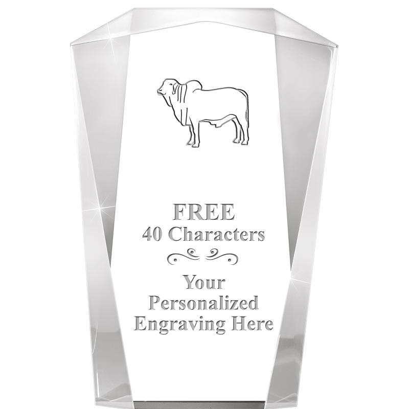 10" MERIDIAN ACRYLIC