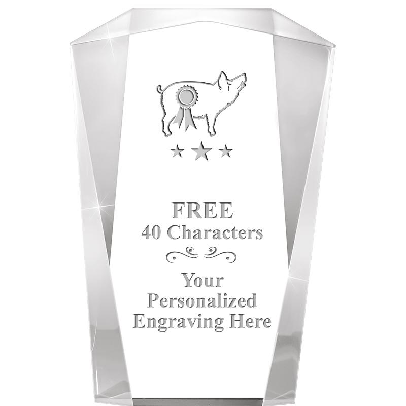 10" MERIDIAN ACRYLIC