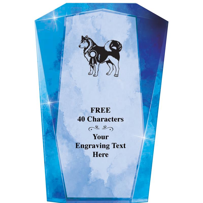 WATERCOLOR MERIDIAN ACRYLIC