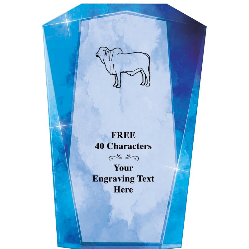 WATERCOLOR MERIDIAN ACRYLIC