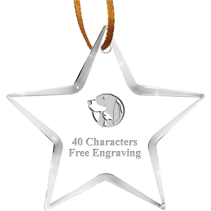 3 1/2" STAR ACRYLIC ORNAMENT