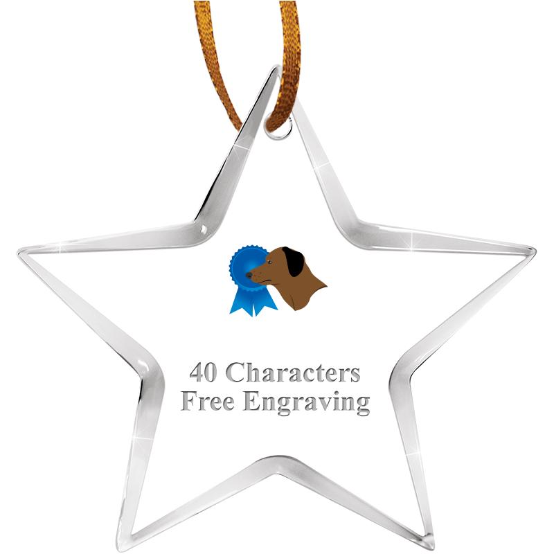 3 1/2" STAR ACRYLIC ORNAMENT