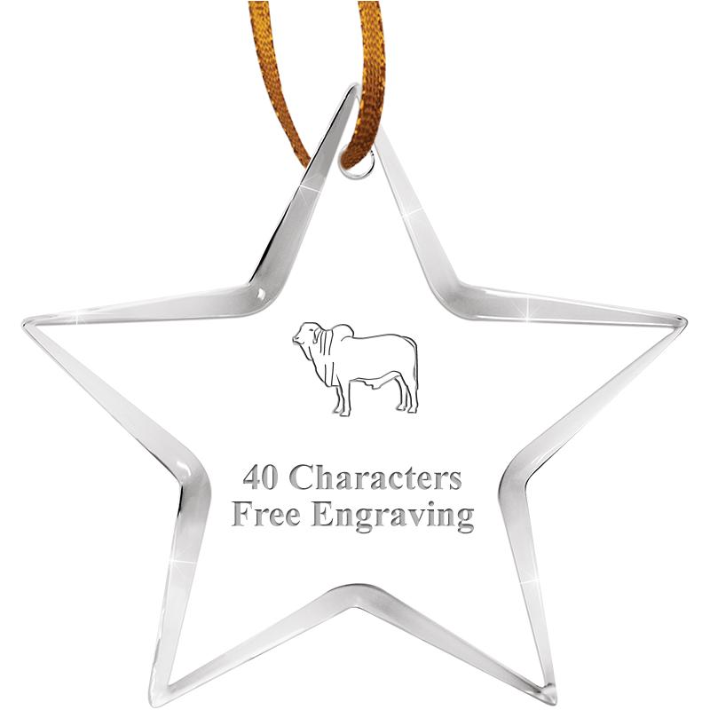 3 1/2" STAR ACRYLIC ORNAMENT