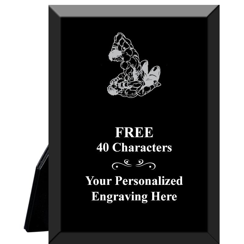 5X7 PREMIER ACRYLIC AWARD