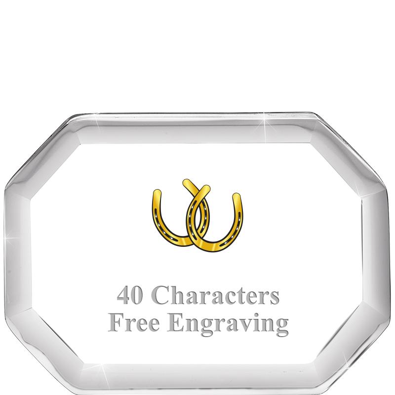 2-1/2" BEVELED OCTAGON PWEIGHT