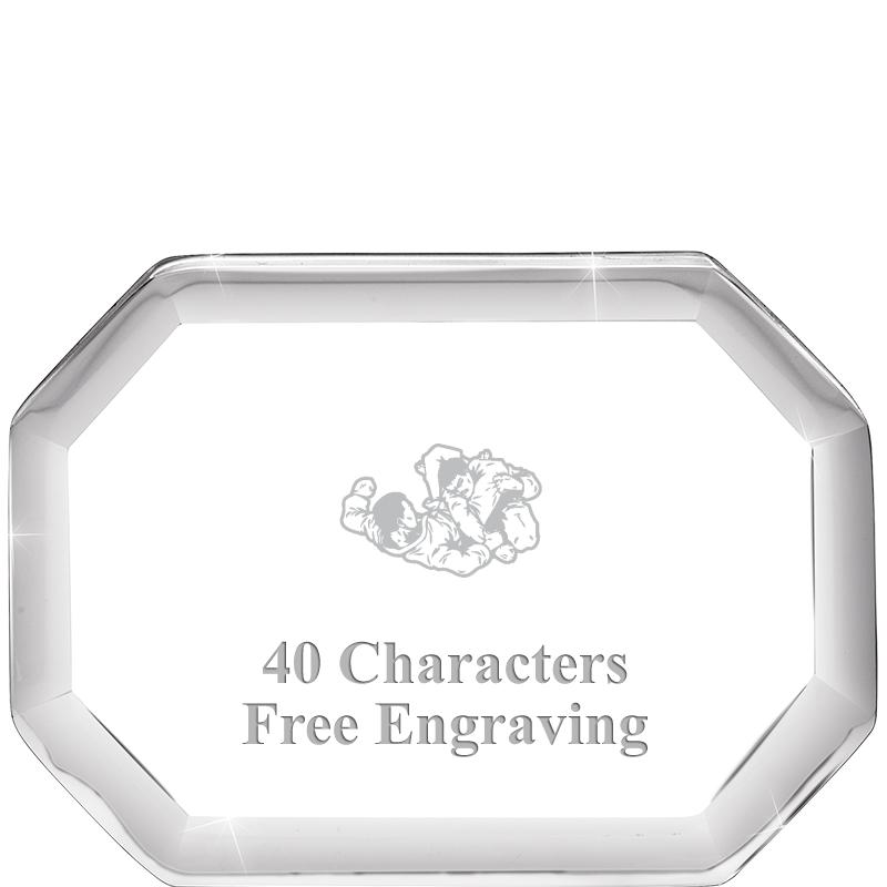 2-1/2" BEVELED OCTAGON PWEIGHT