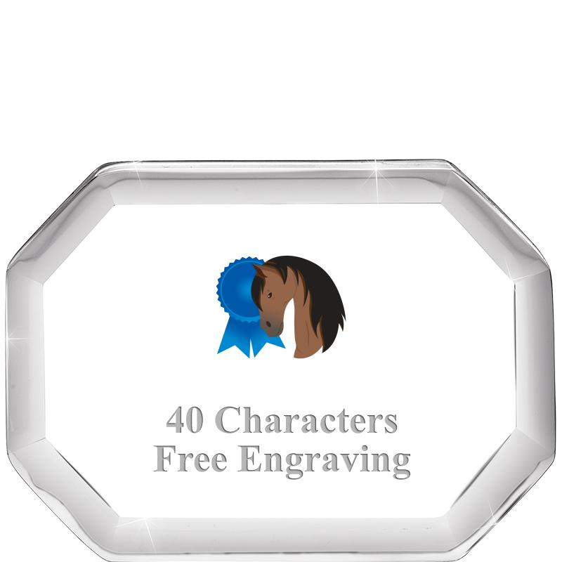 2-1/2" BEVELED OCTAGON PWEIGHT