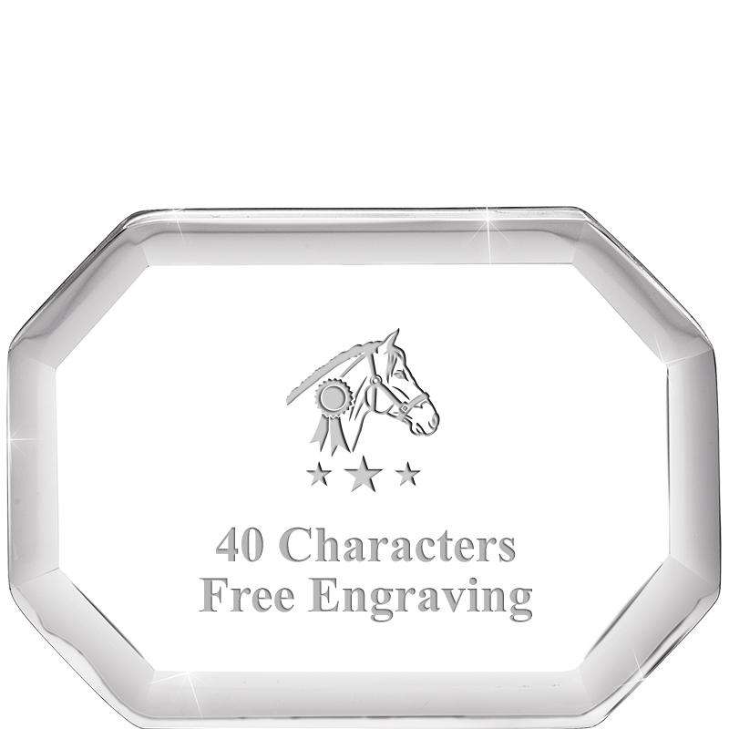 2-1/2" BEVELED OCTAGON PWEIGHT