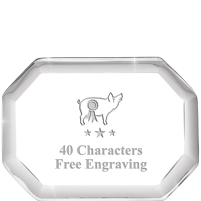 2-1/2" BEVELED OCTAGON PWEIGHT