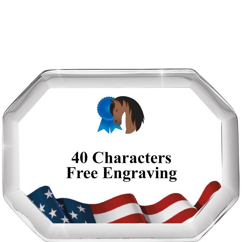 2-1/2" FLG BEVELED OCTAGON PPW