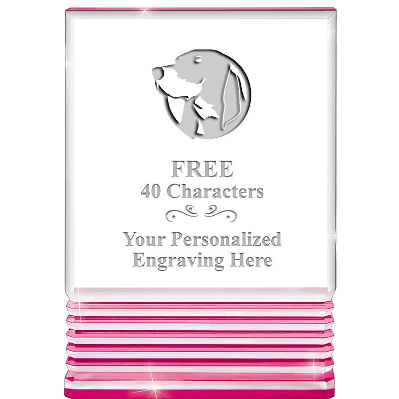 5" PINK ROCKWELL ACRYLIC