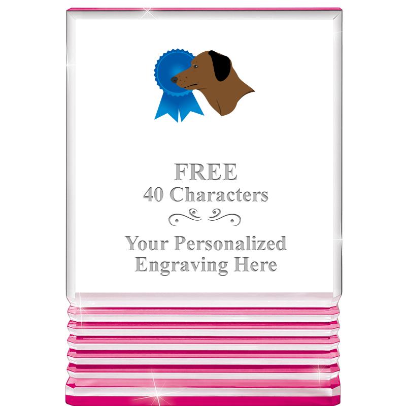 5" PINK ROCKWELL ACRYLIC