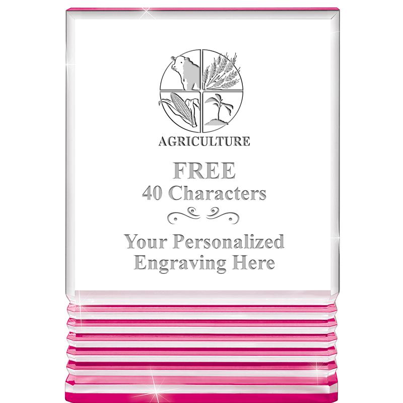 5" PINK ROCKWELL ACRYLIC