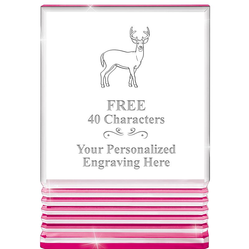 5" PINK ROCKWELL ACRYLIC