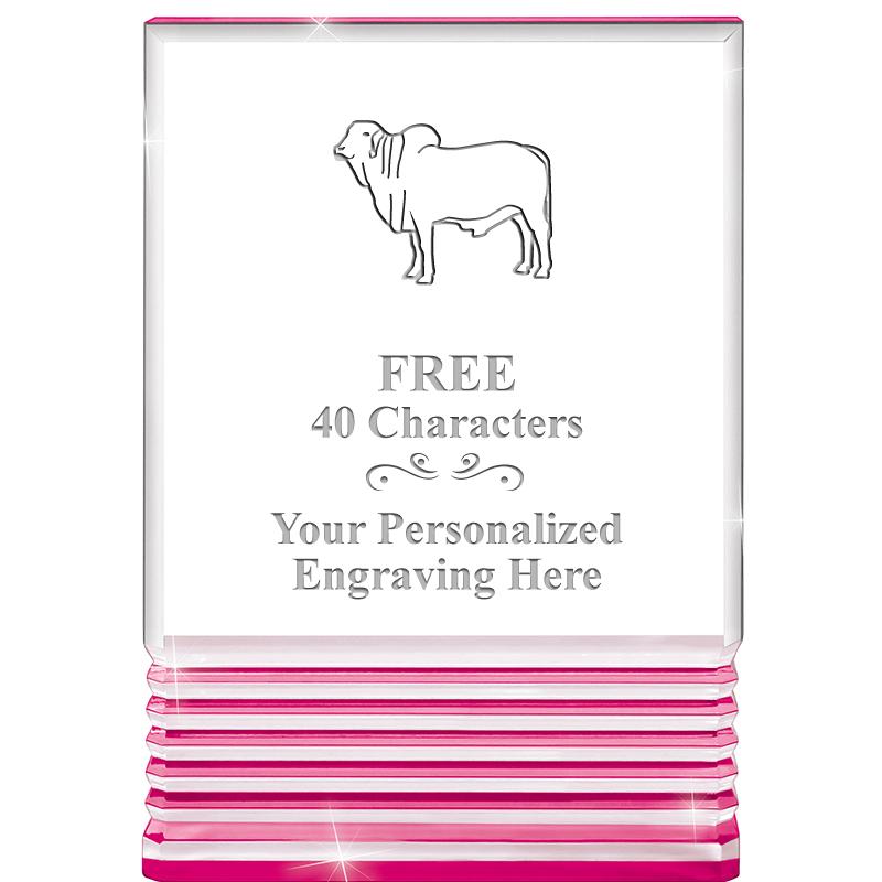 5" PINK ROCKWELL ACRYLIC