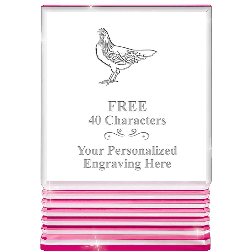 5" PINK ROCKWELL ACRYLIC