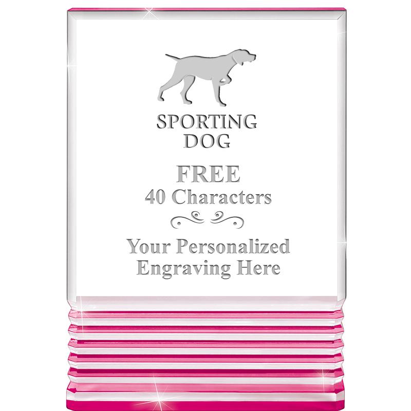 5" PINK ROCKWELL ACRYLIC