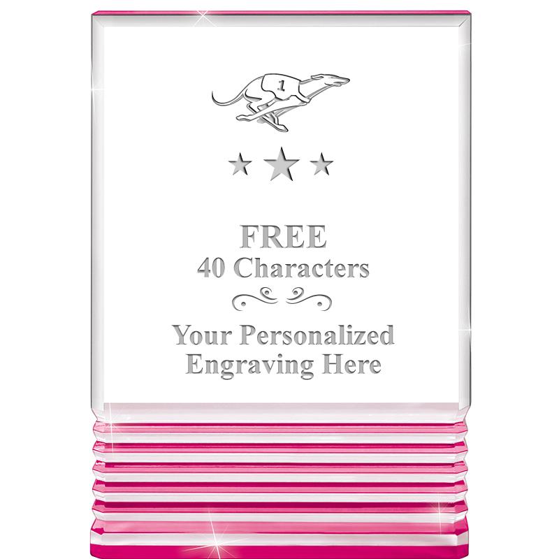 5" PINK ROCKWELL ACRYLIC