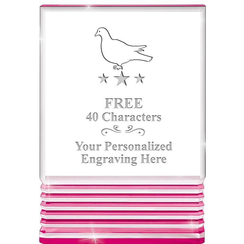 5" PINK ROCKWELL ACRYLIC