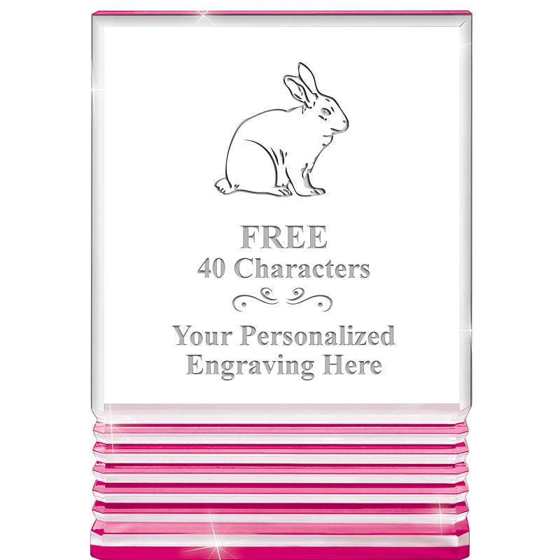 5" PINK ROCKWELL ACRYLIC