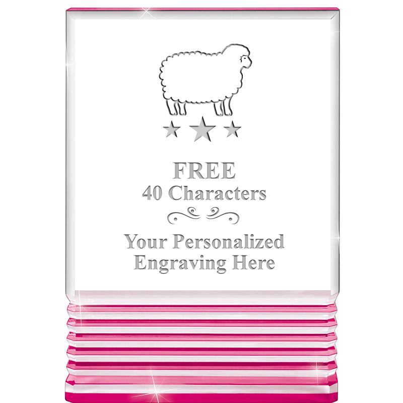 5" PINK ROCKWELL ACRYLIC