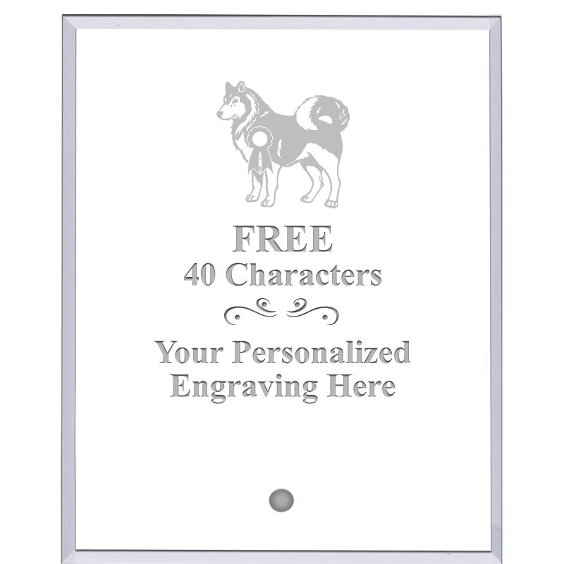 5" ECONOMY CLEAR ACRYLIC