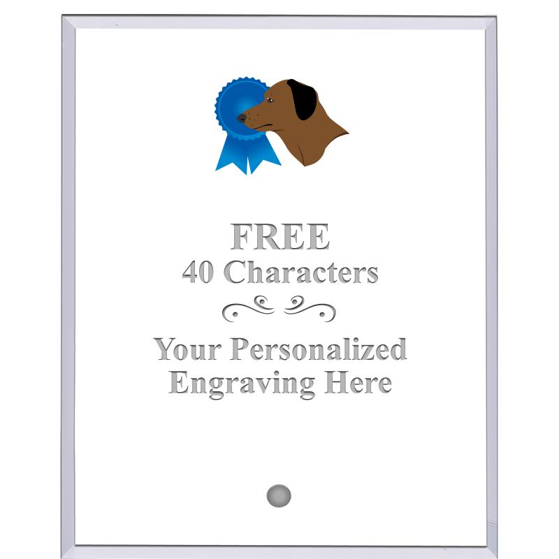 5" ECONOMY CLEAR ACRYLIC