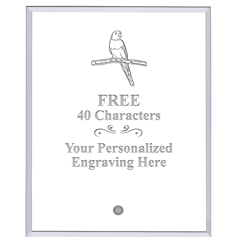 5" ECONOMY CLEAR ACRYLIC