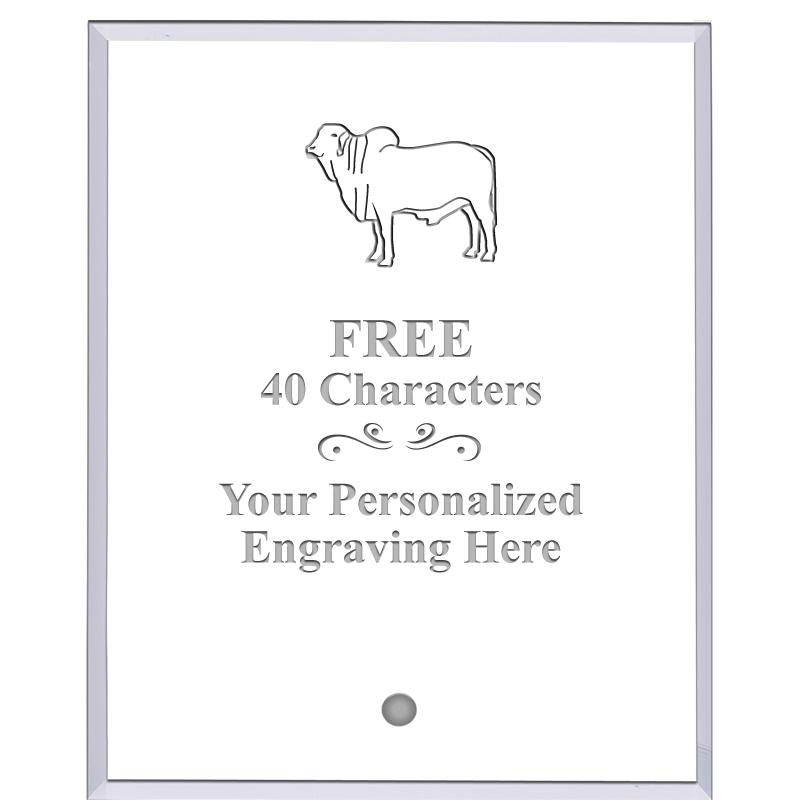 5" ECONOMY CLEAR ACRYLIC