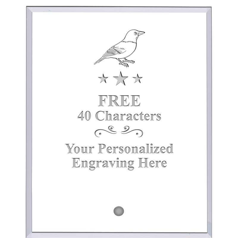 5" ECONOMY CLEAR ACRYLIC