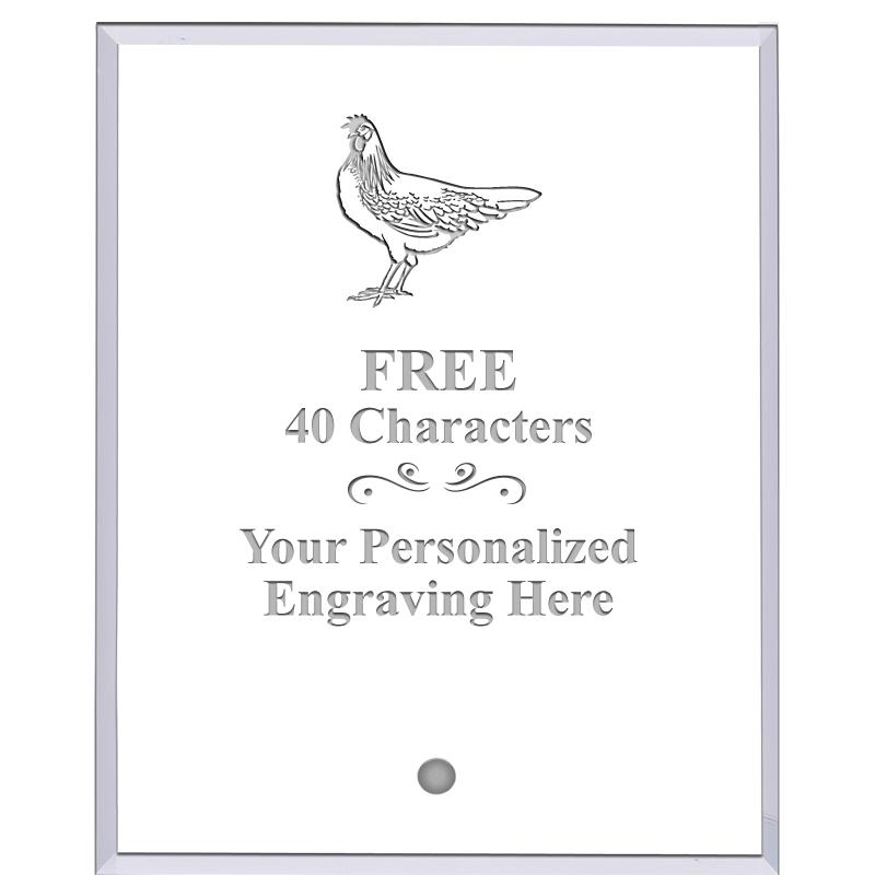 5" ECONOMY CLEAR ACRYLIC