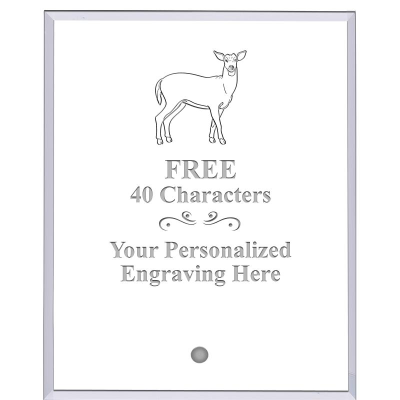 5" ECONOMY CLEAR ACRYLIC