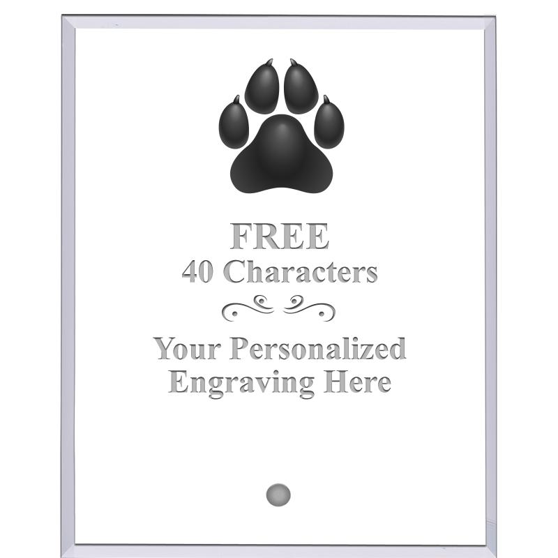 5" ECONOMY CLEAR ACRYLIC