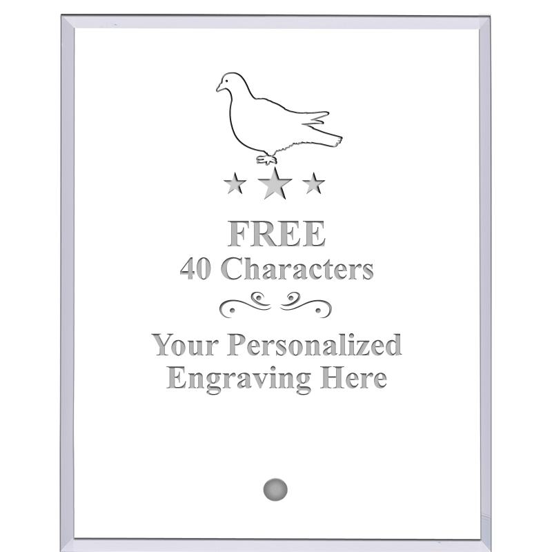 5" ECONOMY CLEAR ACRYLIC