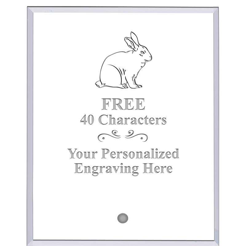 5" ECONOMY CLEAR ACRYLIC