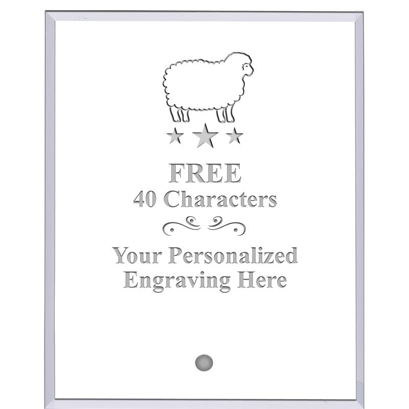 5" ECONOMY CLEAR ACRYLIC