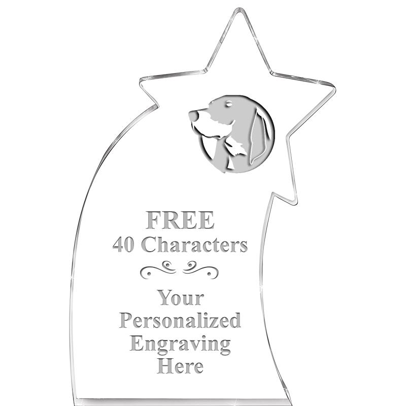 8" SHOOTING STAR ACRYLIC