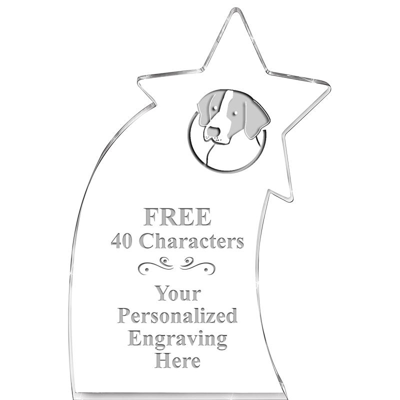 8" SHOOTING STAR ACRYLIC