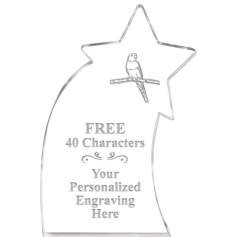 8" SHOOTING STAR ACRYLIC