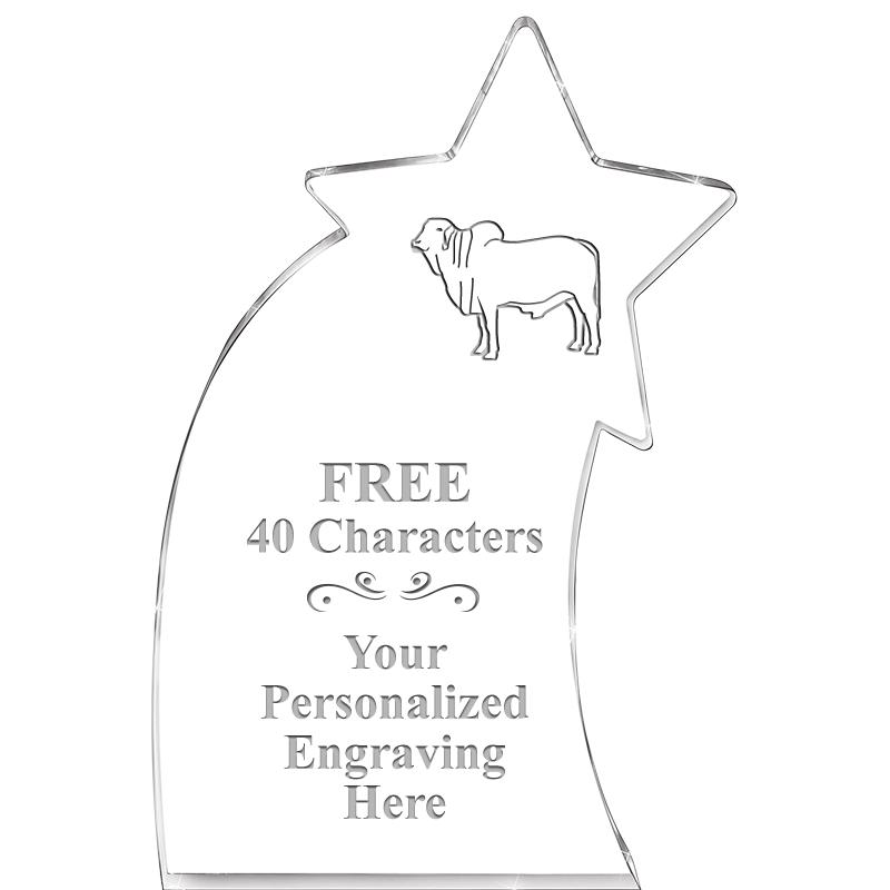 8" SHOOTING STAR ACRYLIC