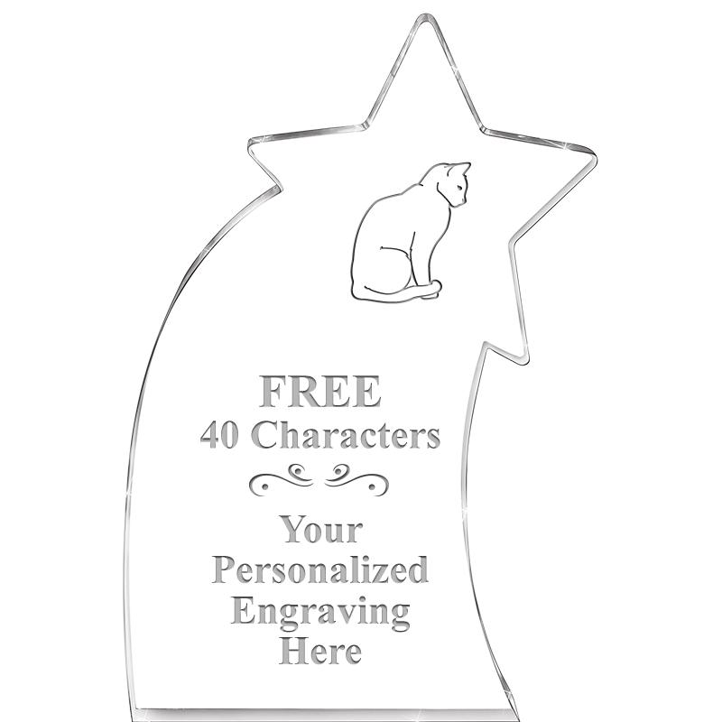 8" SHOOTING STAR ACRYLIC