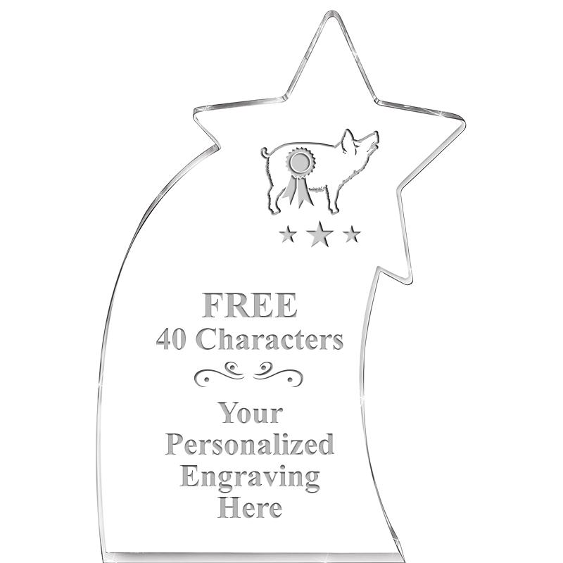 8" SHOOTING STAR ACRYLIC