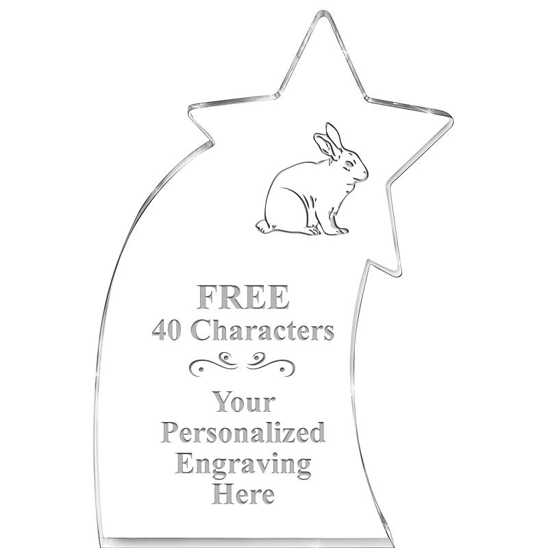 8" SHOOTING STAR ACRYLIC