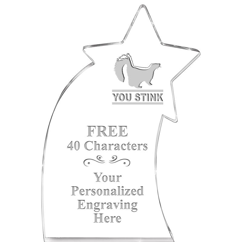 8" SHOOTING STAR ACRYLIC