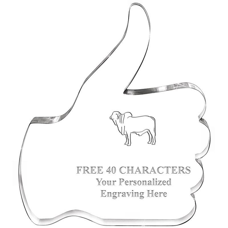 6" THUMBS UP ACRYLIC