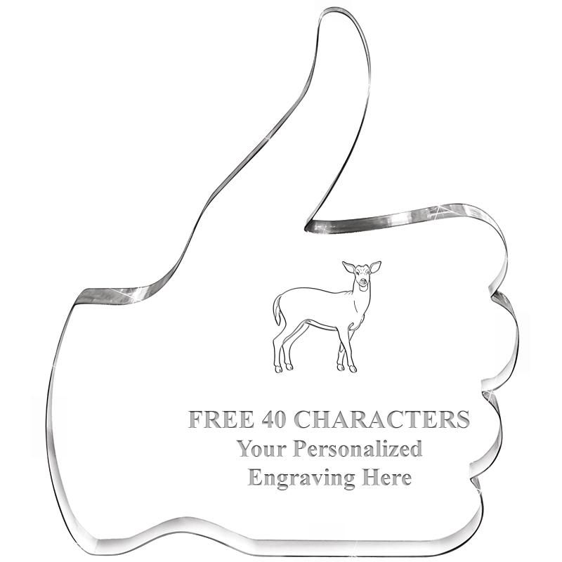 6" THUMBS UP ACRYLIC