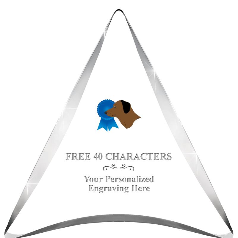 ENTERPRISE TRIANGLE ACRYLIC