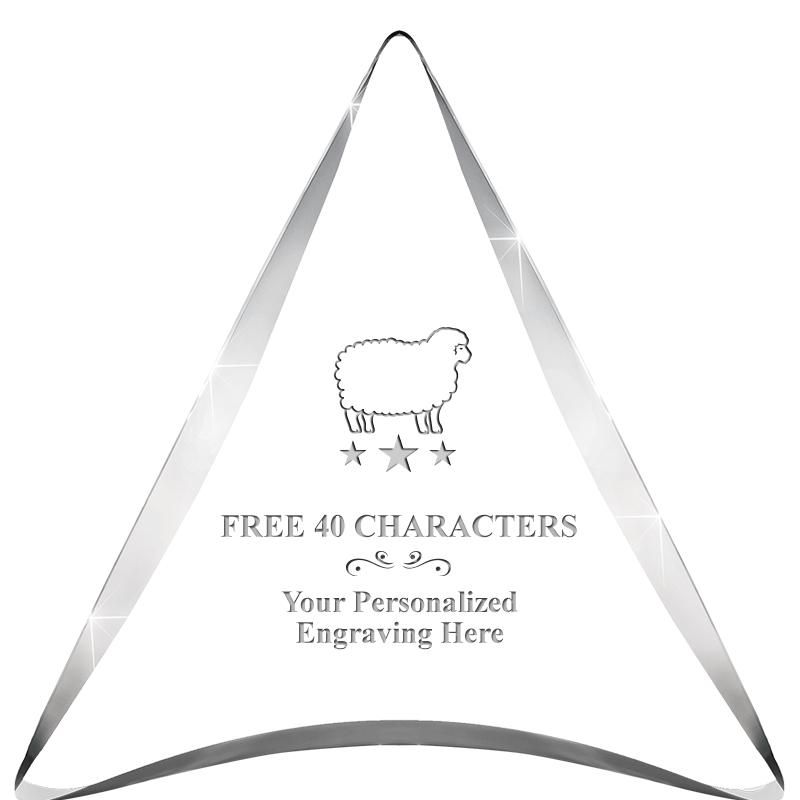 ENTERPRISE TRIANGLE ACRYLIC