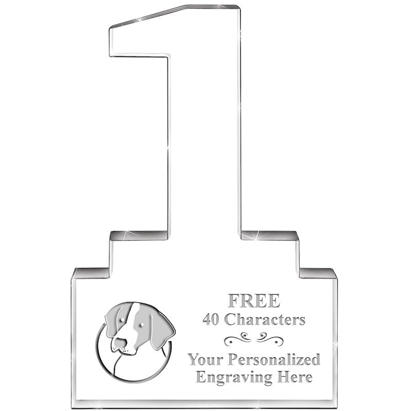 6" 1 YEAR OF SERVICE ACRYLIC