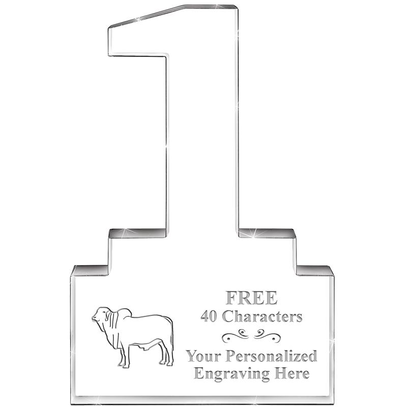 6" 1 YEAR OF SERVICE ACRYLIC